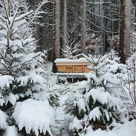 Boehm Am Baerentrail Apartmán