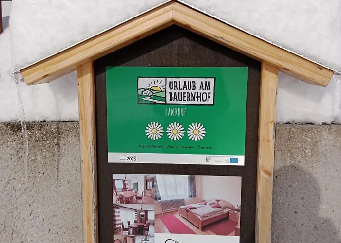 Boehm Am Baerentrail