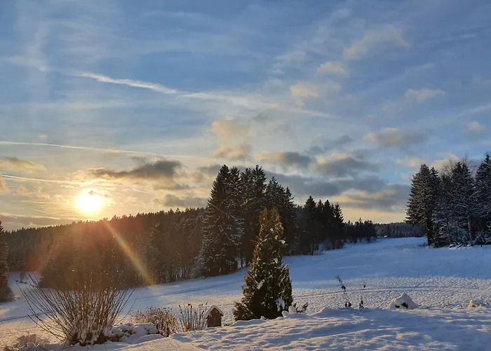 Boehm Am Baerentrail