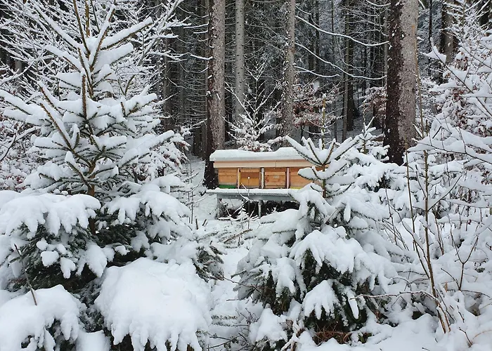 Boehm Am Baerentrail アパート